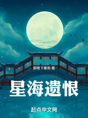 星海遗恨