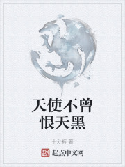 天使不曾恨天黑