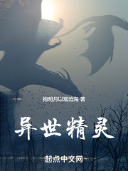 异世精灵