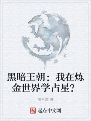 黑暗王朝：我在炼金世界学占星？