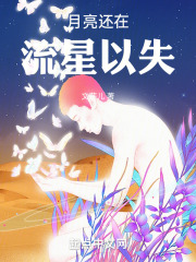 月亮还在，流星以失