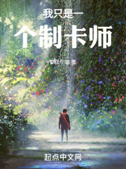 我只是一个制卡师
