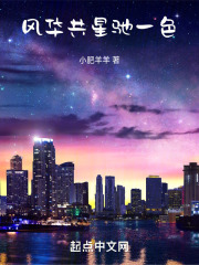 风华共艳阳一色