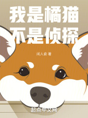我是橘猫，不是侦探