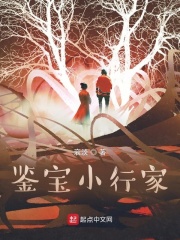 鉴宝小行家