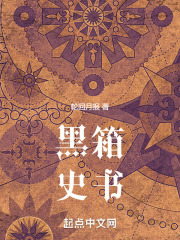 黑箱史书
