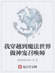 我穿越到魔法世界做神宠召唤师