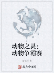动物之灵：动物争霸赛