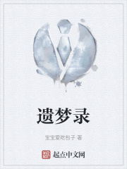 遗梦录