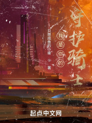 我是你的守护骑士