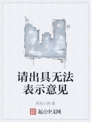请出具无法表示意见