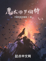 魔术师罗伯特
