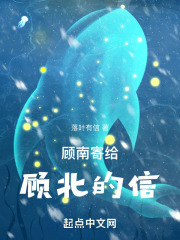 顾南寄给顾北的信