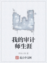 我的审计师生涯