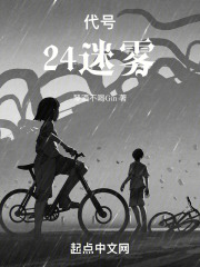 代号：贰点肆迷雾