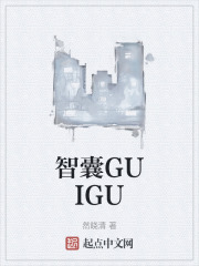 智囊GUIGU