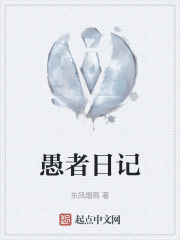 愚者日记