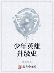 少年英雄升级史