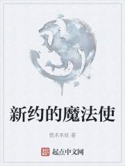 新约的魔法使