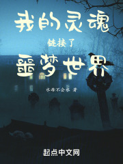 我的灵魂链接了噩梦世界