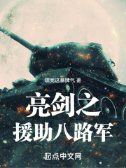 亮剑之援助八路军