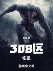 308区实录