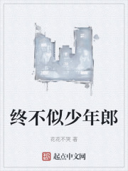 终不似少年郎