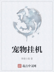 宠物挂机
