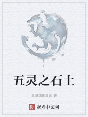 五灵之石土