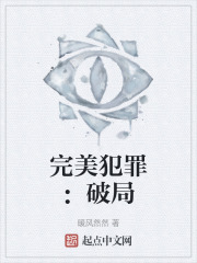 完美犯罪：破局