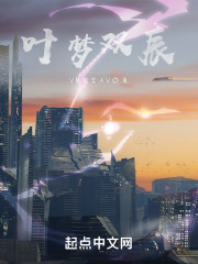 叶梦双辰