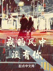 我的风中没有你