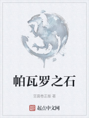 帕瓦罗之石