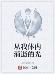 从我体内消逝的光