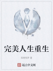 完美人生重生
