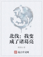 北伐：我变成了诸葛亮