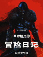 卓尔精灵的冒险日记