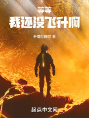 等等，我还没飞升啊！