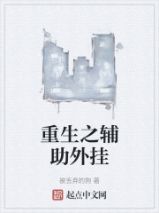重生之辅助外挂