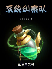 系统纠察队