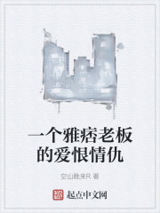 一个雅痞老板的爱恨情仇