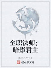 全职法师：暗影君主