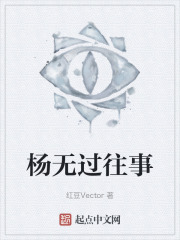 杨无过往事