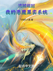 流贼崛起：我的恶魔果实系统