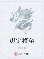 毋宁将至