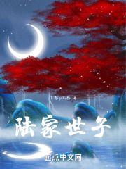 陆家世子