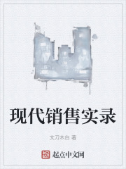 现代销售实录