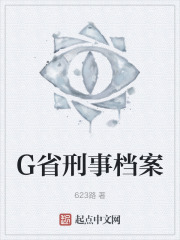 G省刑事档案