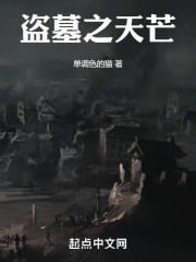 盗墓之天芒