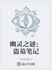 幽灵之谜：盗墓笔记